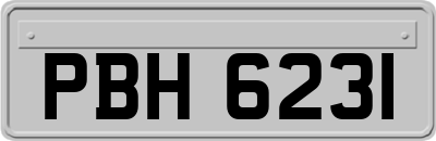 PBH6231