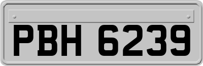 PBH6239