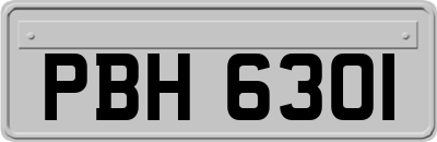 PBH6301