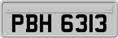 PBH6313