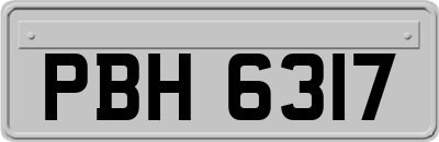 PBH6317