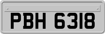 PBH6318