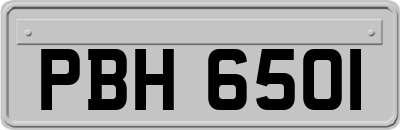 PBH6501