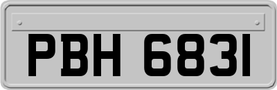 PBH6831