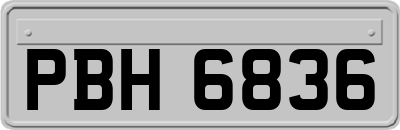 PBH6836