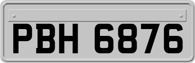 PBH6876