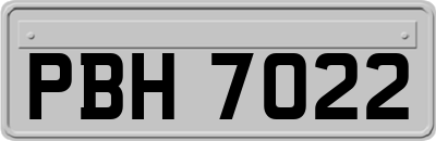 PBH7022