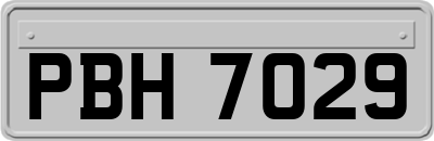 PBH7029