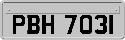 PBH7031