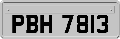 PBH7813