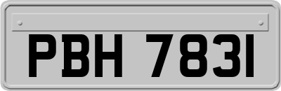 PBH7831