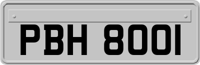 PBH8001