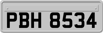 PBH8534