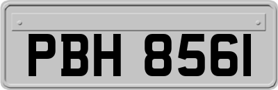 PBH8561