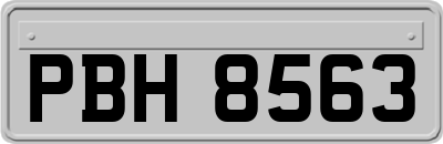 PBH8563