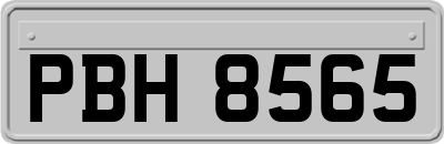 PBH8565