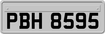 PBH8595