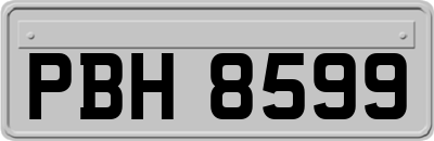 PBH8599