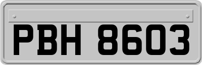 PBH8603