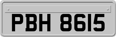 PBH8615