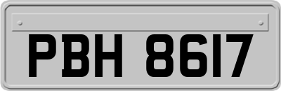 PBH8617