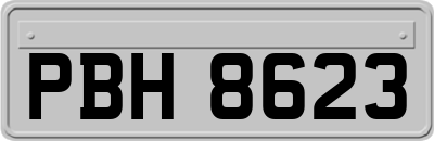 PBH8623