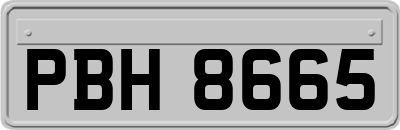 PBH8665