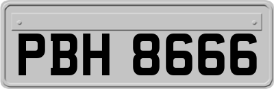 PBH8666