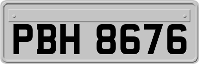 PBH8676