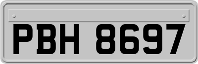 PBH8697