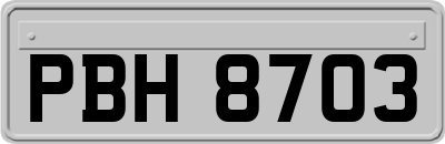 PBH8703