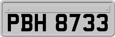 PBH8733