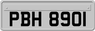 PBH8901