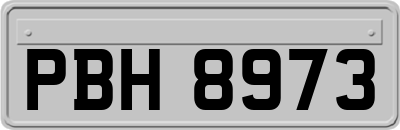 PBH8973