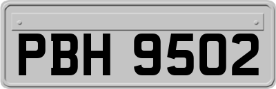 PBH9502