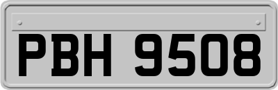 PBH9508