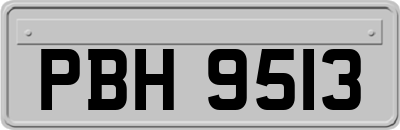 PBH9513