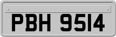 PBH9514