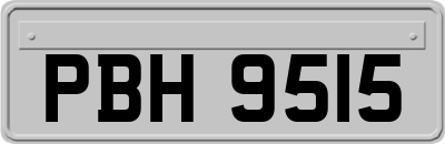 PBH9515