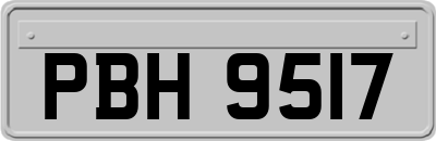 PBH9517