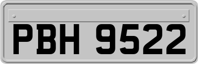 PBH9522