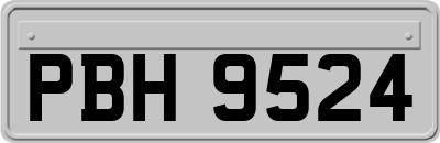 PBH9524