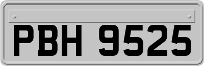 PBH9525