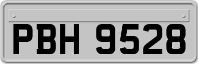 PBH9528