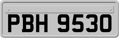 PBH9530