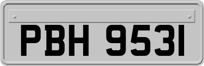 PBH9531