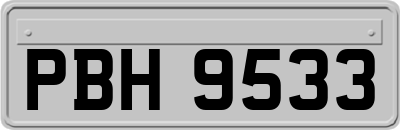 PBH9533