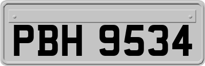 PBH9534