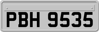 PBH9535