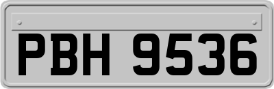 PBH9536